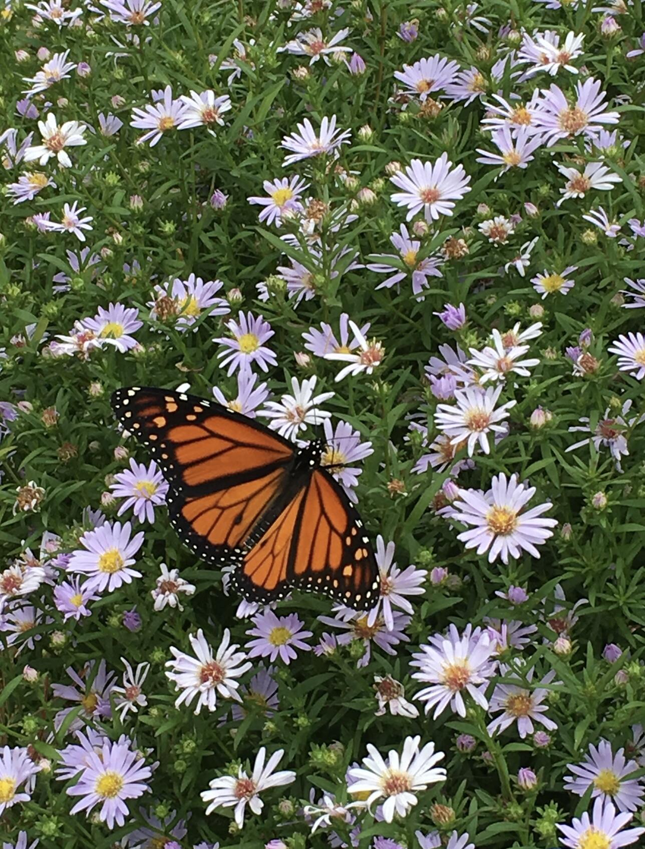 361 Waldoboro Road Friendship ME 04547