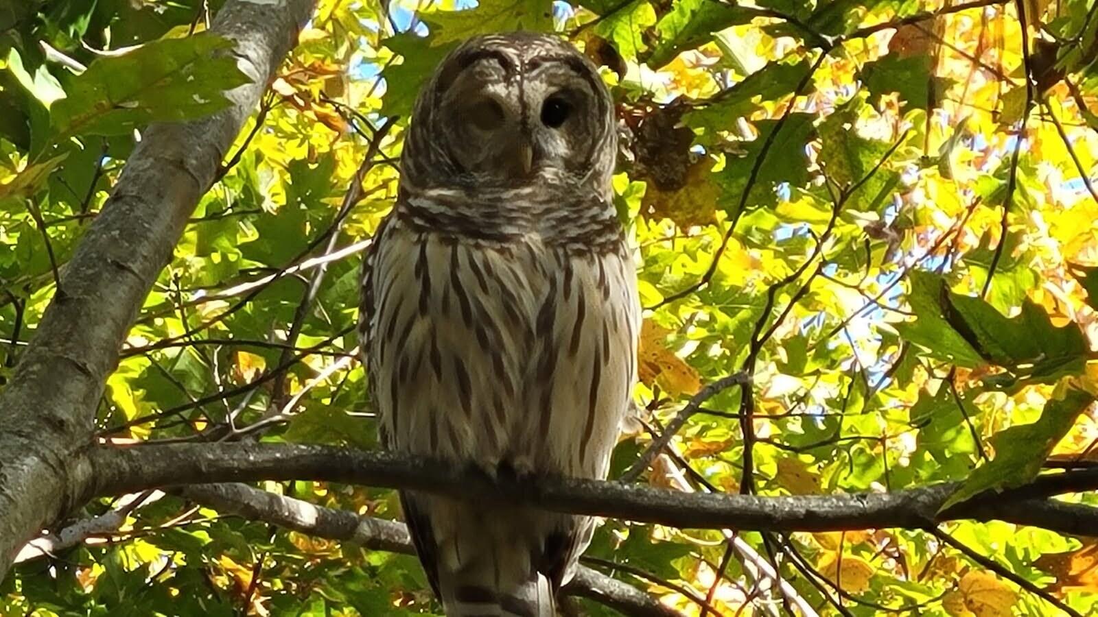 450 Carroll Road Warren ME 04864