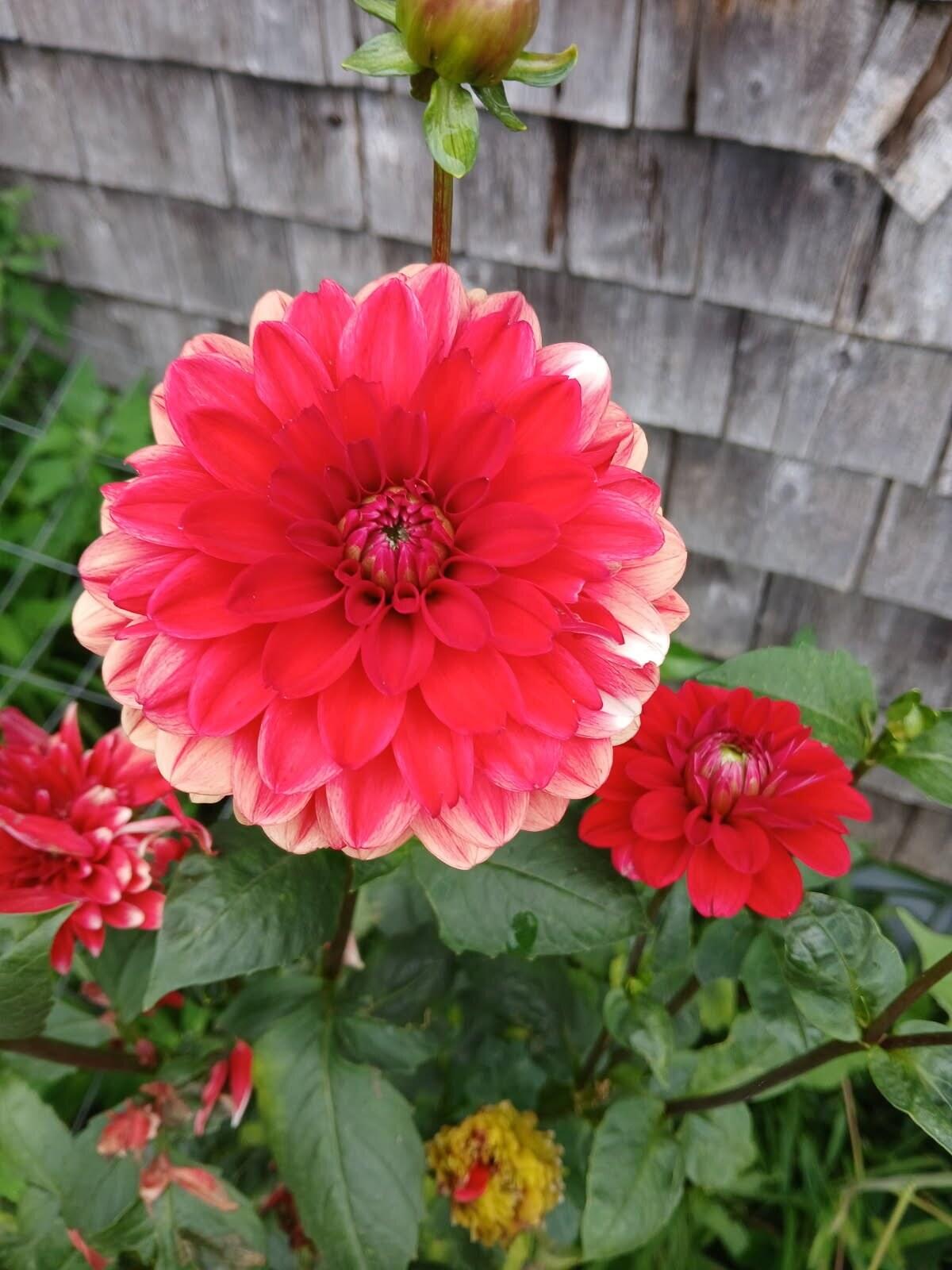 450 Carroll Road Warren ME 04864