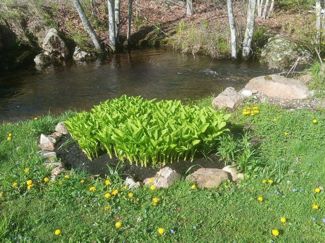 450 Carroll Road Warren ME 04864