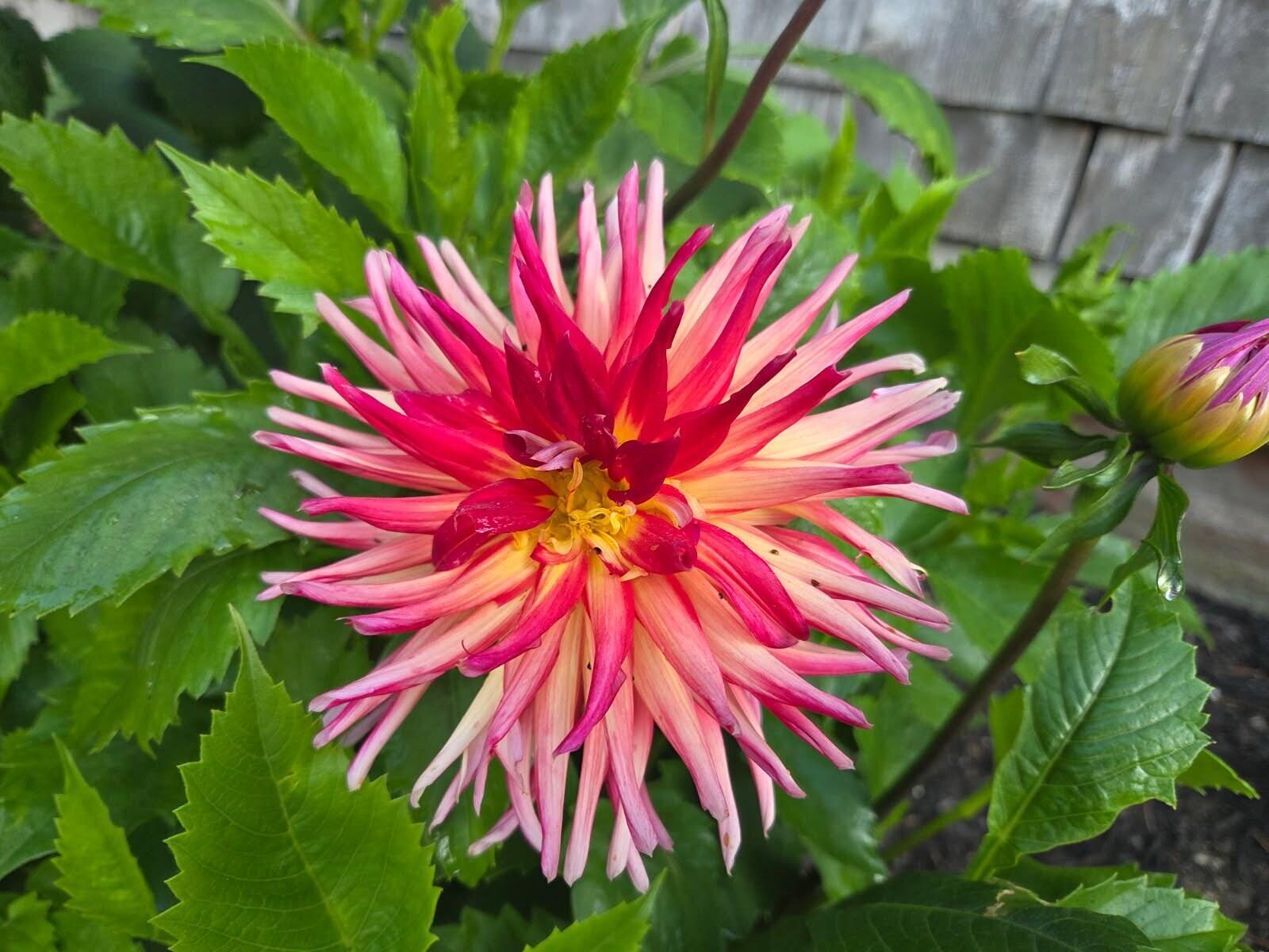 450 Carroll Road Warren ME 04864