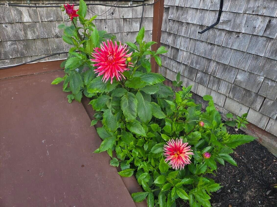 450 Carroll Road Warren ME 04864