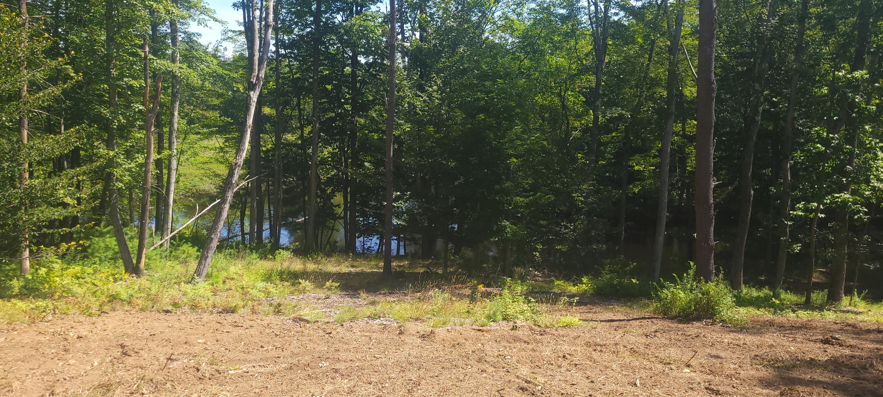 67 Main Street Norway ME 04268