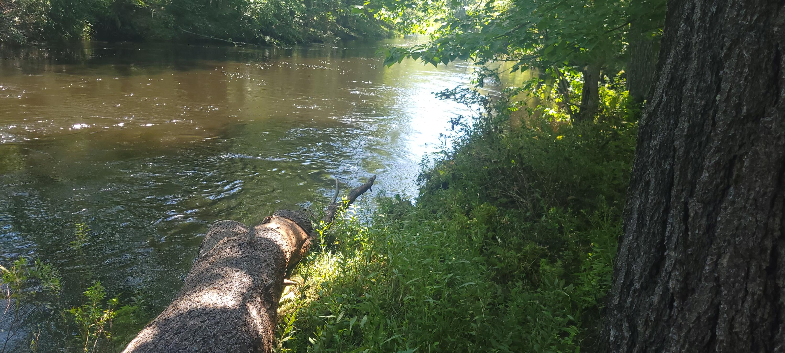 67 Main Street Norway ME 04268