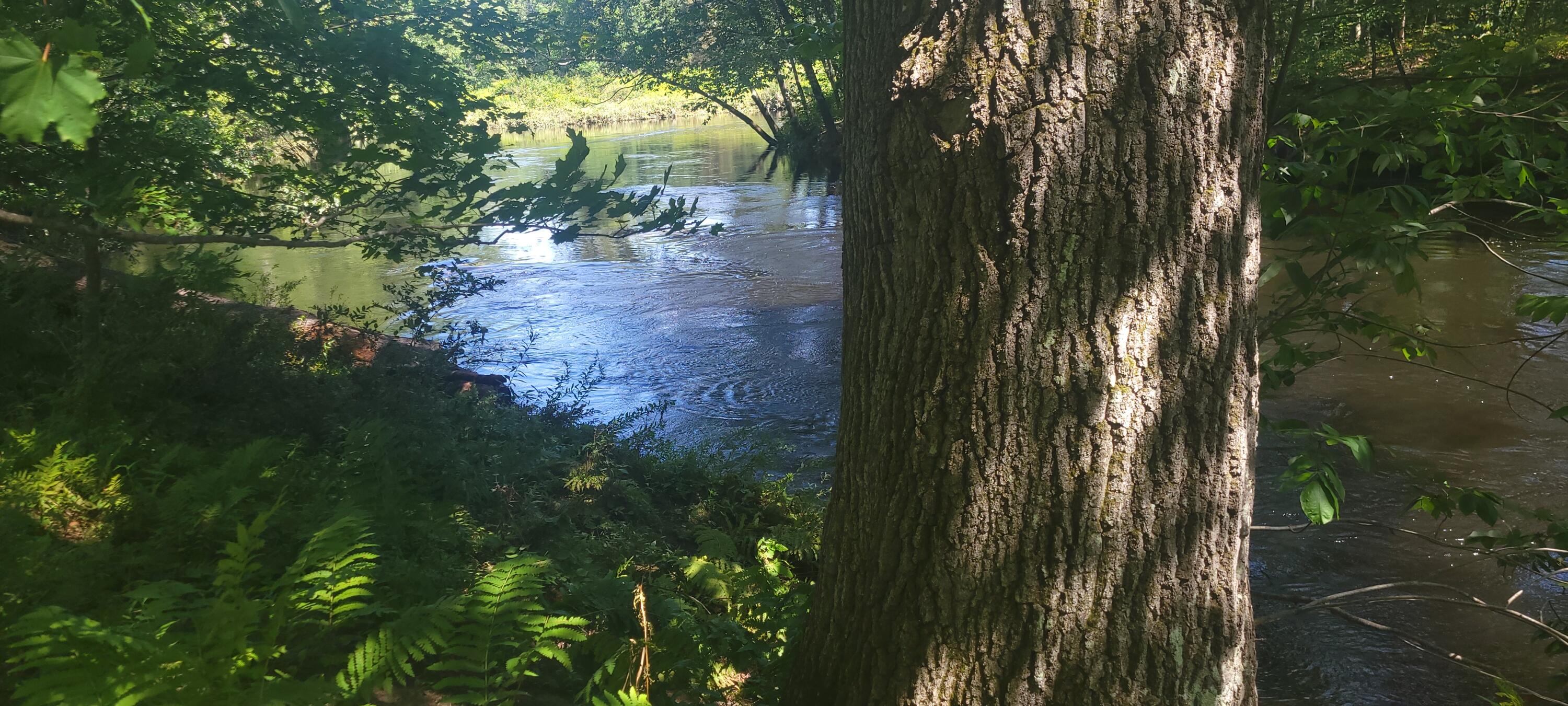 67 Main Street Norway ME 04268