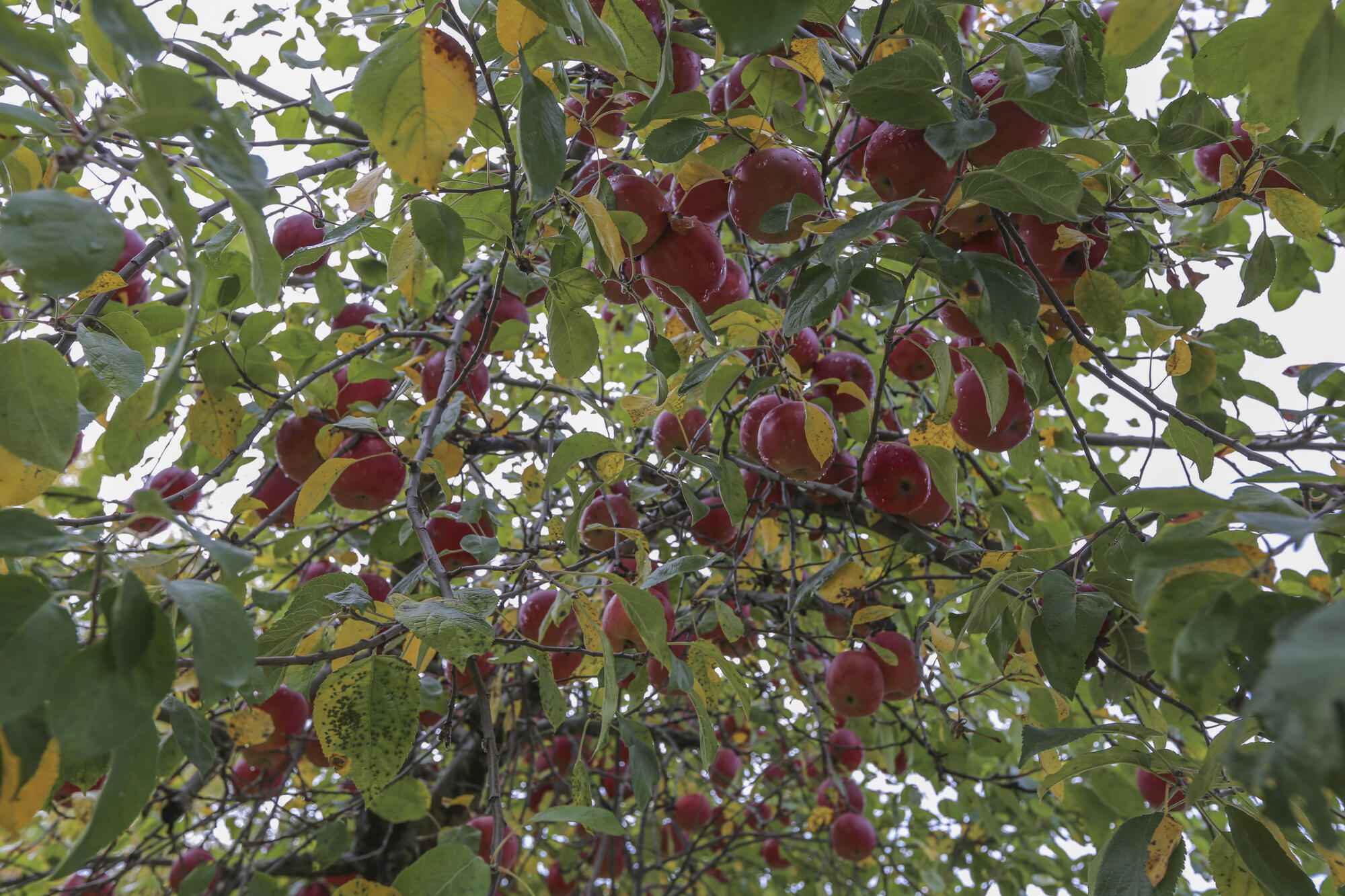 118 Fling Street Brewer ME 04412