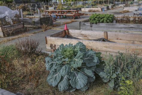 118 Fling Street Brewer ME 04412