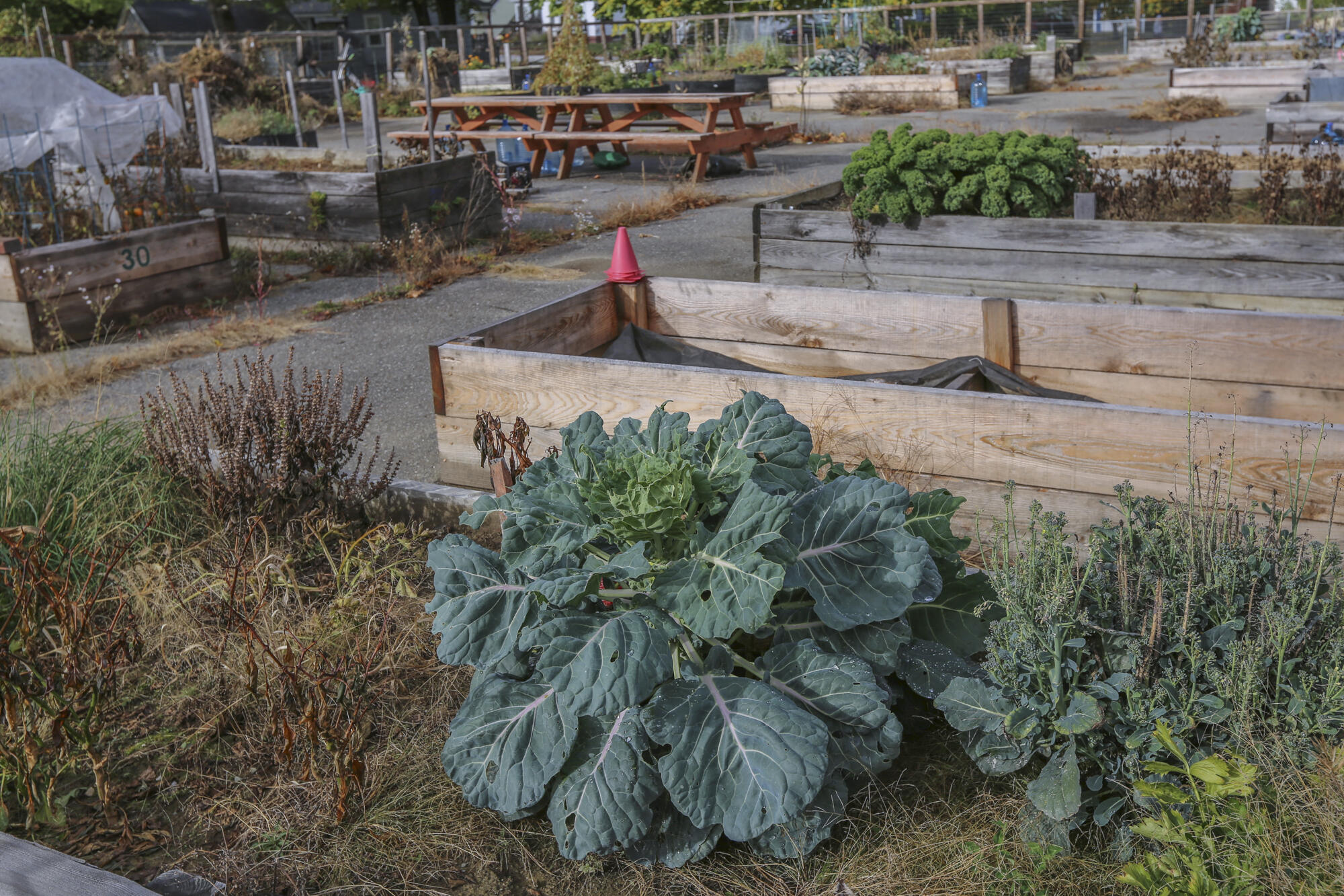 118 Fling Street Brewer ME 04412