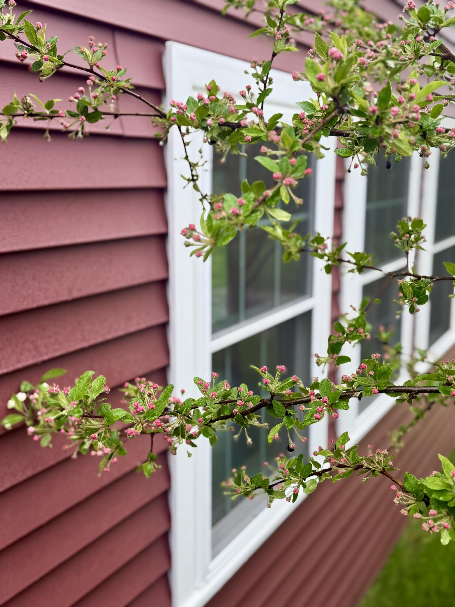 26 Hamilton Drive Vinalhaven ME 04863