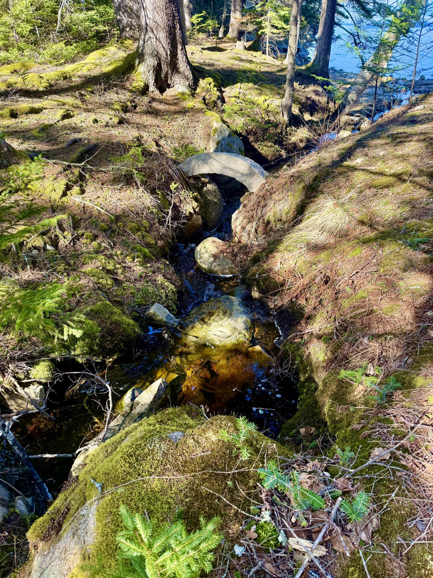 26 Hamilton Drive Vinalhaven ME 04863