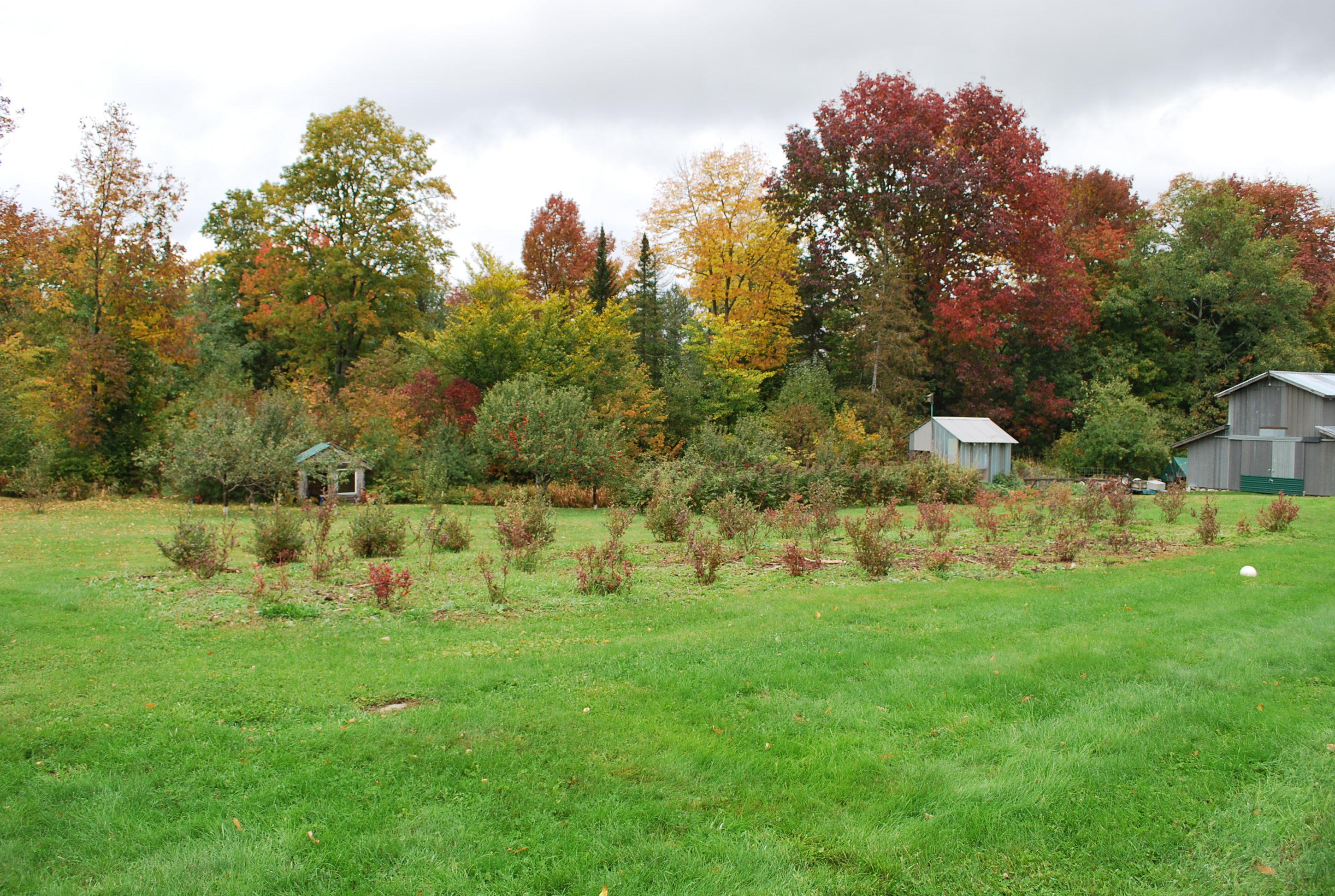 65 Cates Road Parkman ME 04443
