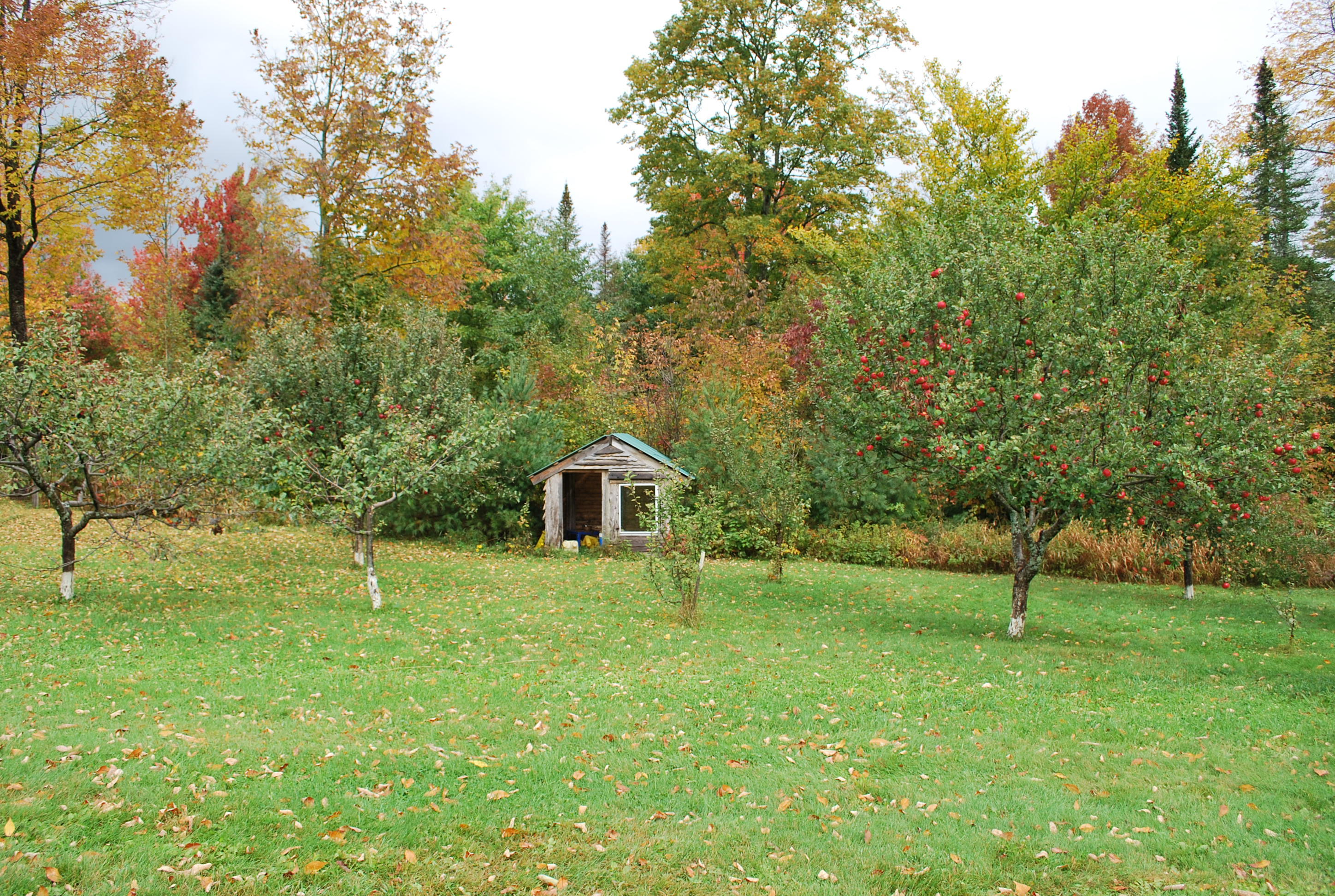 65 Cates Road Parkman ME 04443