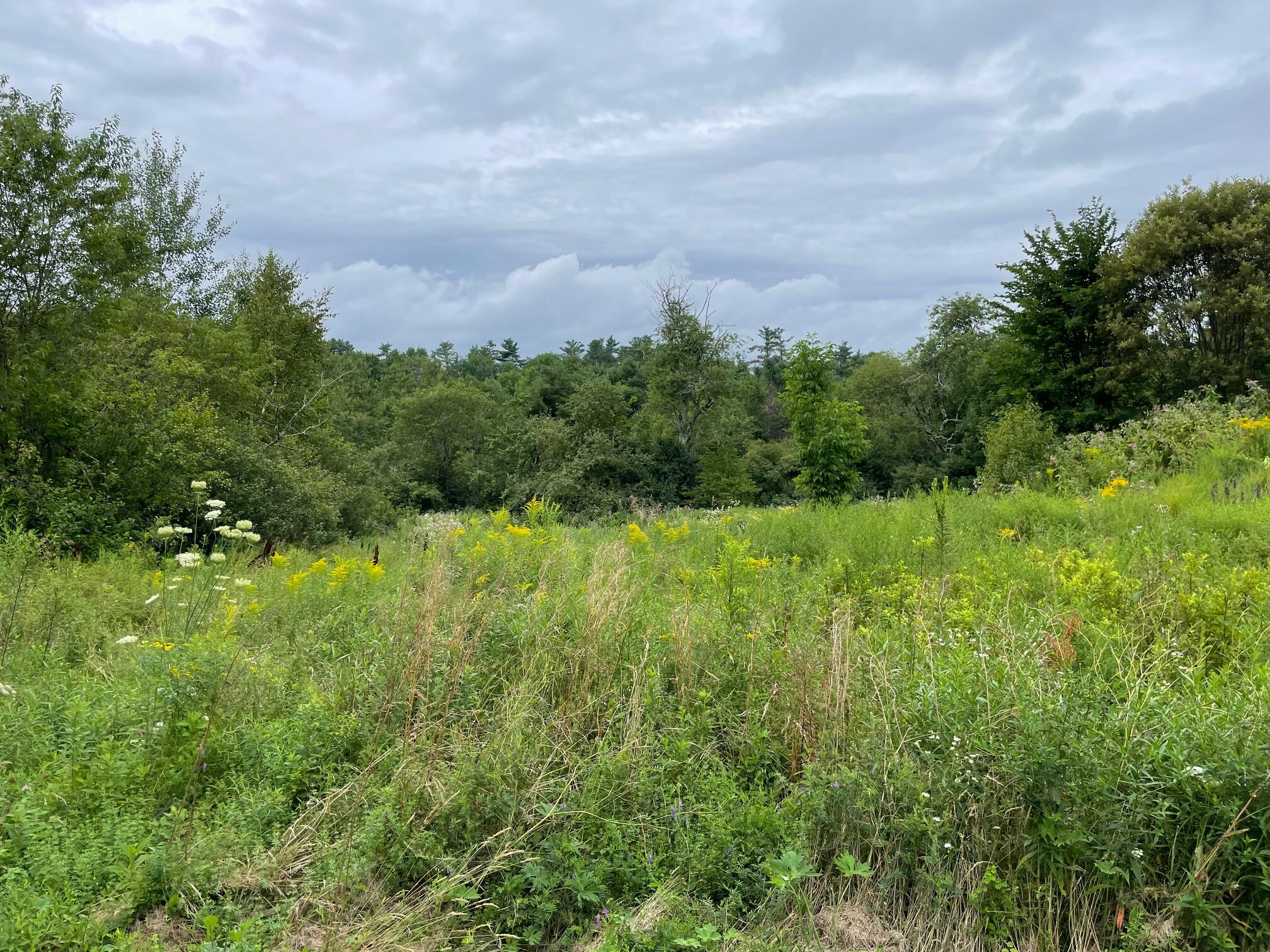 209 Lincolnville Avenue Belfast ME 04915