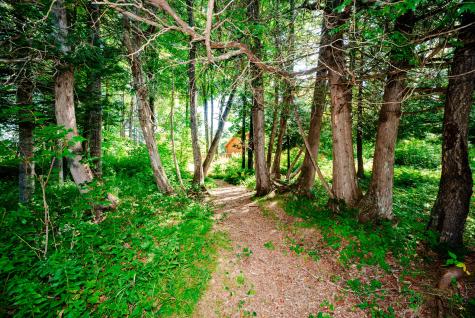 273 Lemon Stream Road New Portland ME 04961