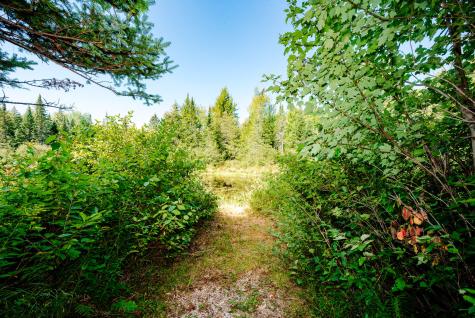 273 Lemon Stream Road New Portland ME 04961