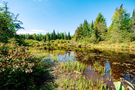 273 Lemon Stream Road New Portland ME 04961