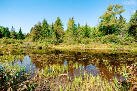 273 Lemon Stream Road New Portland ME 04961