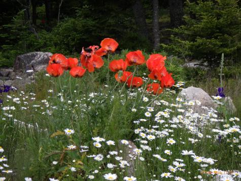 360 Red Point Road Swans Island ME 04685
