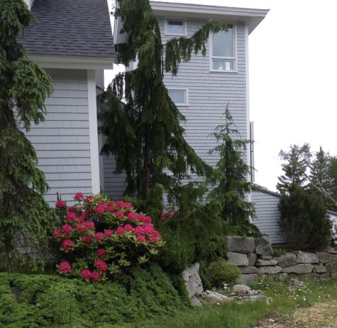 360 Red Point Road Swans Island ME 04685