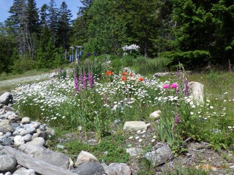 360 Red Point Road Swans Island ME 04685