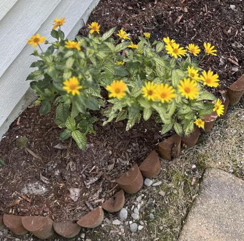 61 Brian Drive Brewer ME 04412