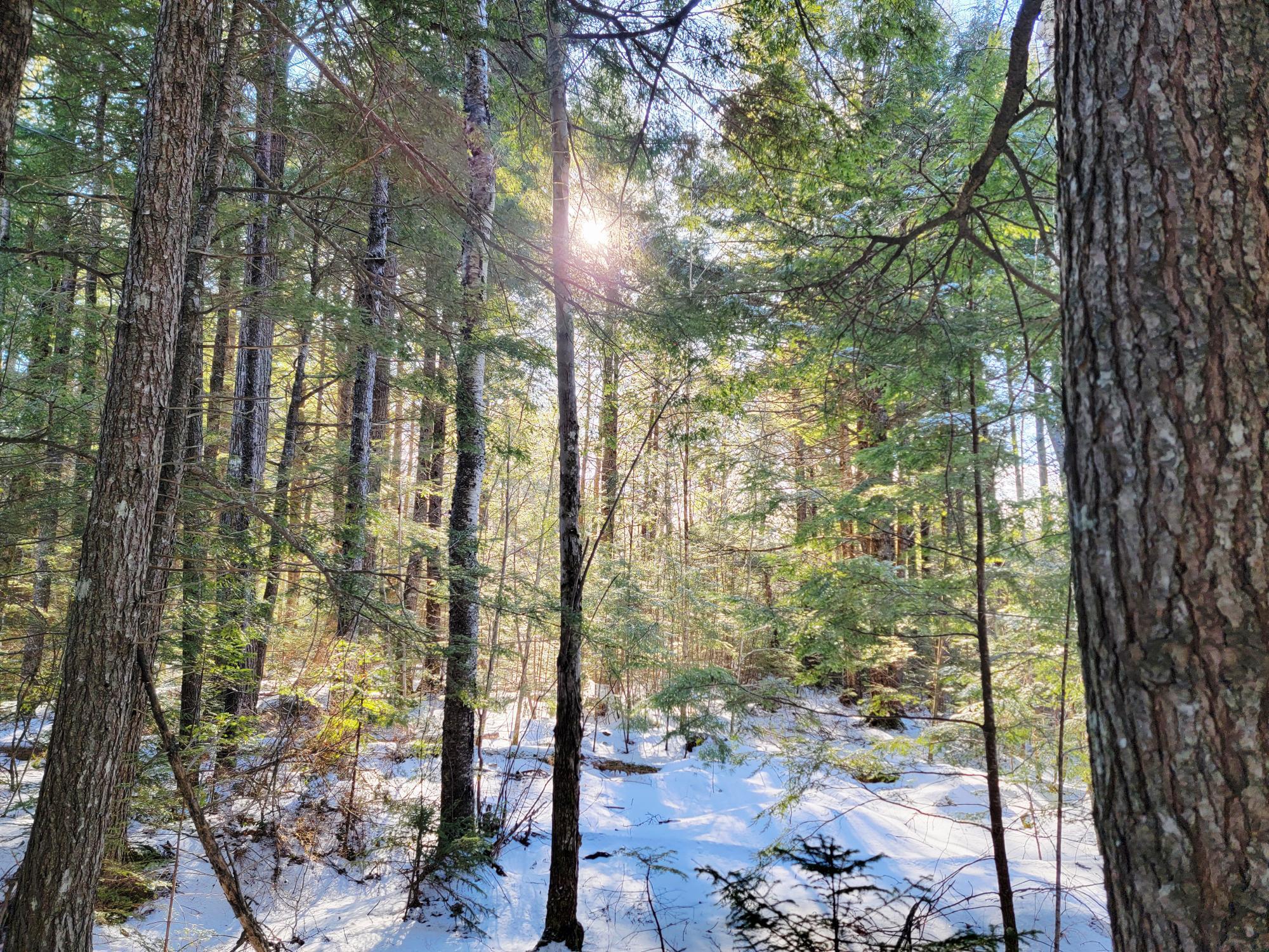 27 Trout Brook Road Mariaville ME 04605