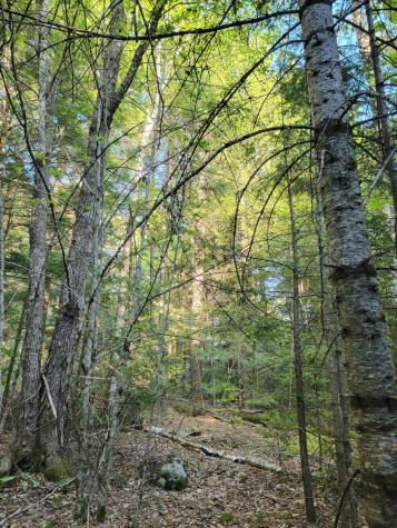 27 Trout Brook Road Mariaville ME 04605