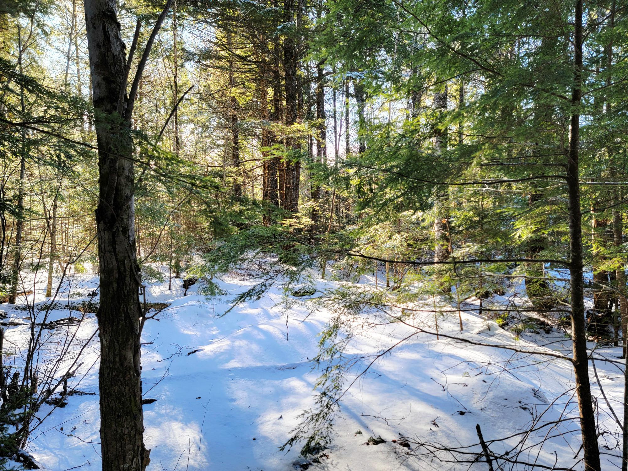 27 Trout Brook Road Mariaville ME 04605