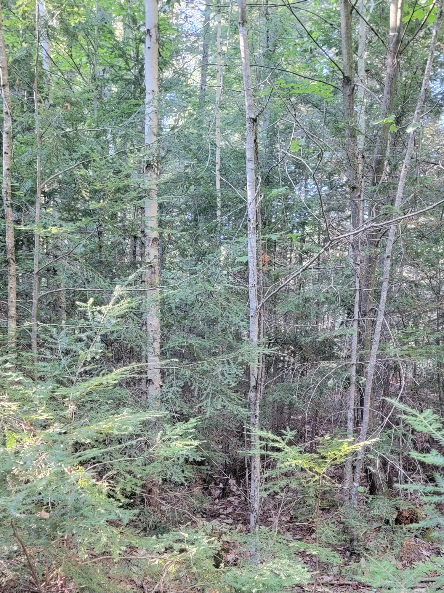 27 Trout Brook Road Mariaville ME 04605