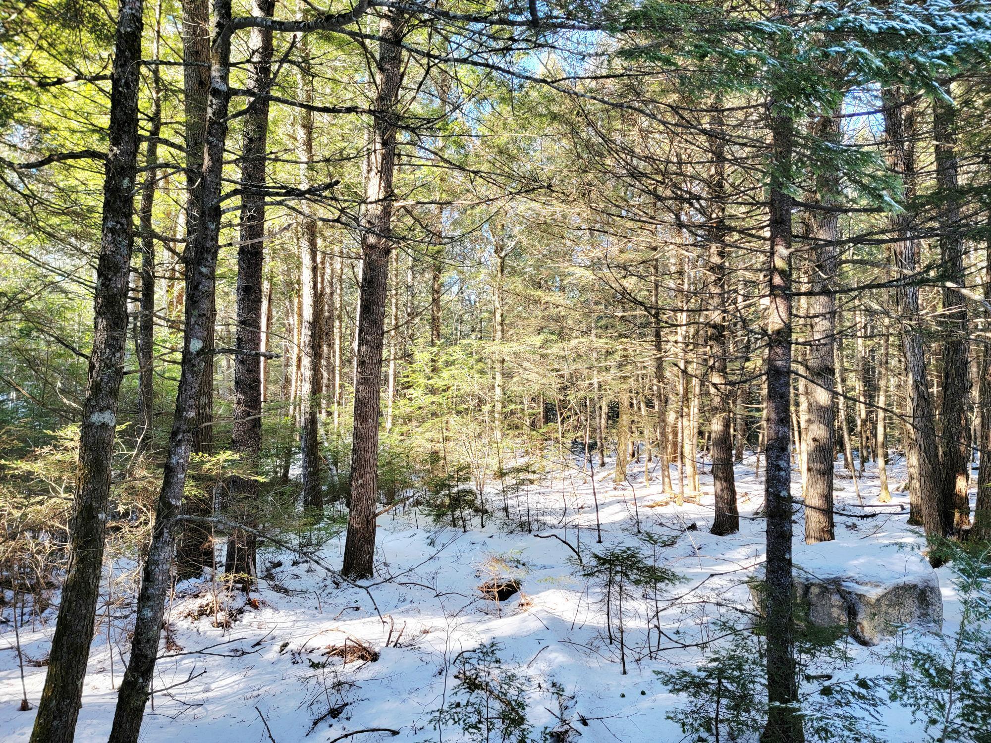 27 Trout Brook Road Mariaville ME 04605