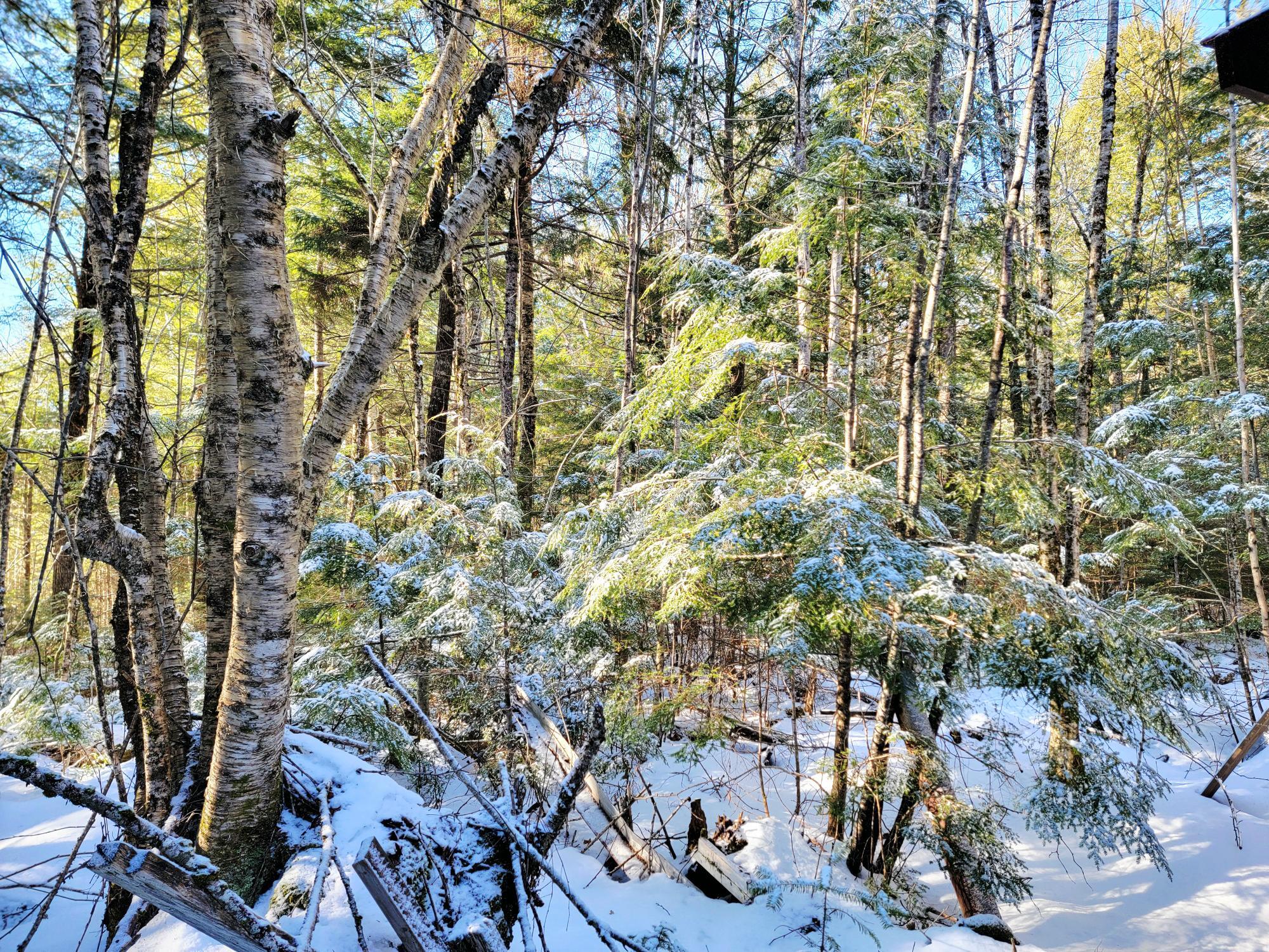 27 Trout Brook Road Mariaville ME 04605