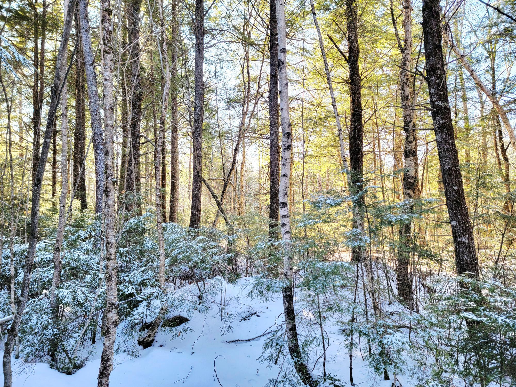 27 Trout Brook Road Mariaville ME 04605