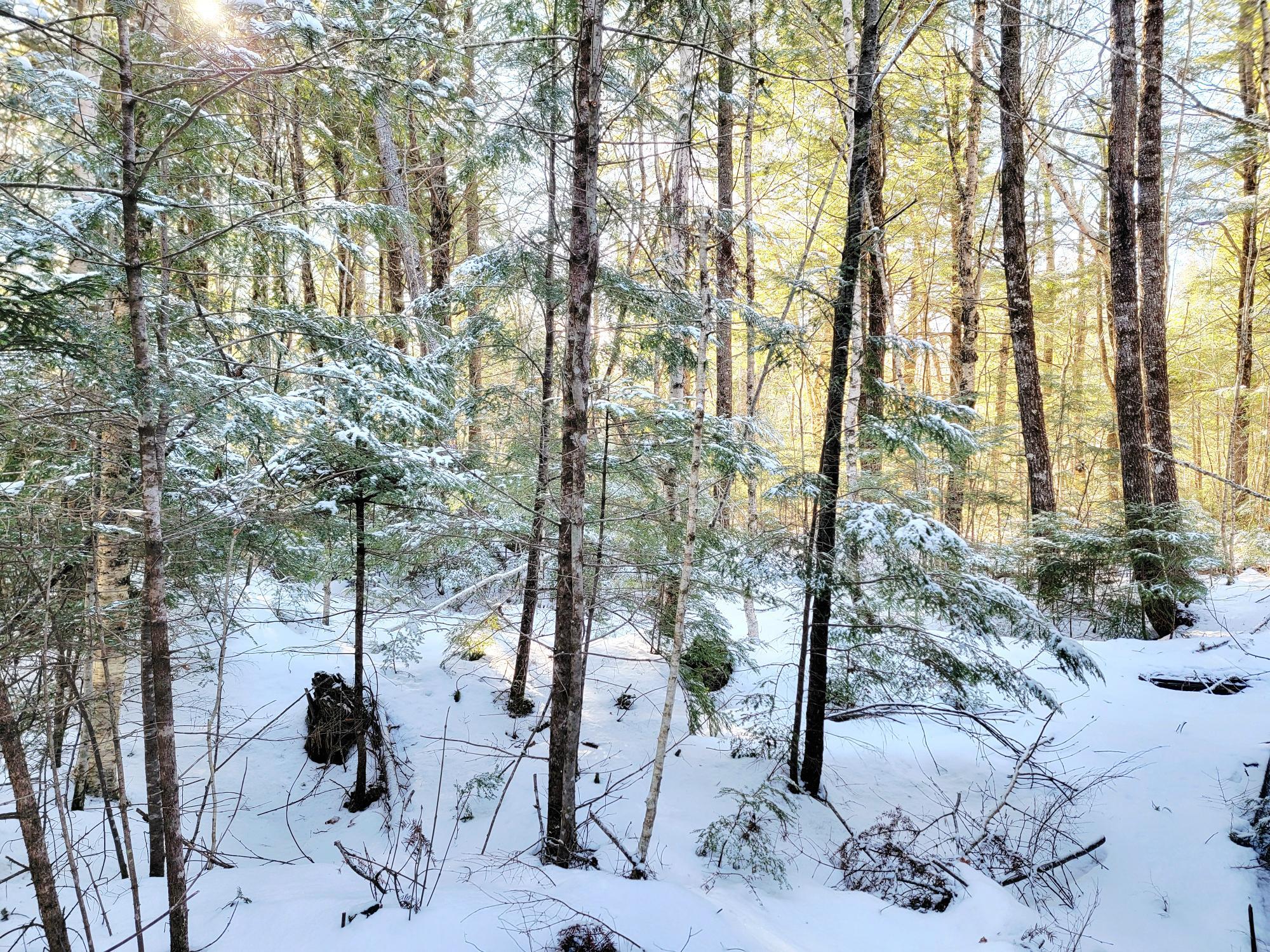 27 Trout Brook Road Mariaville ME 04605