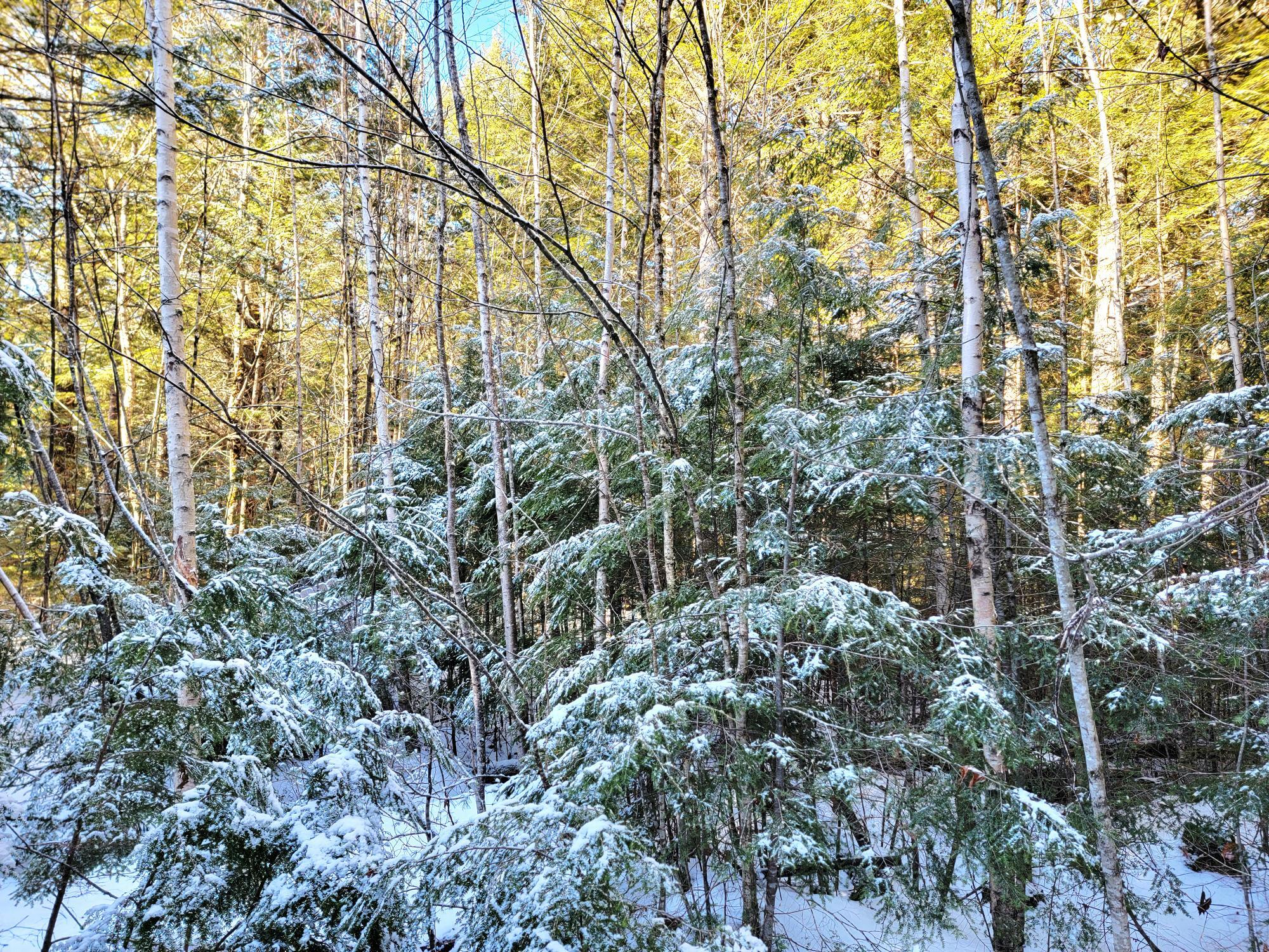 27 Trout Brook Road Mariaville ME 04605