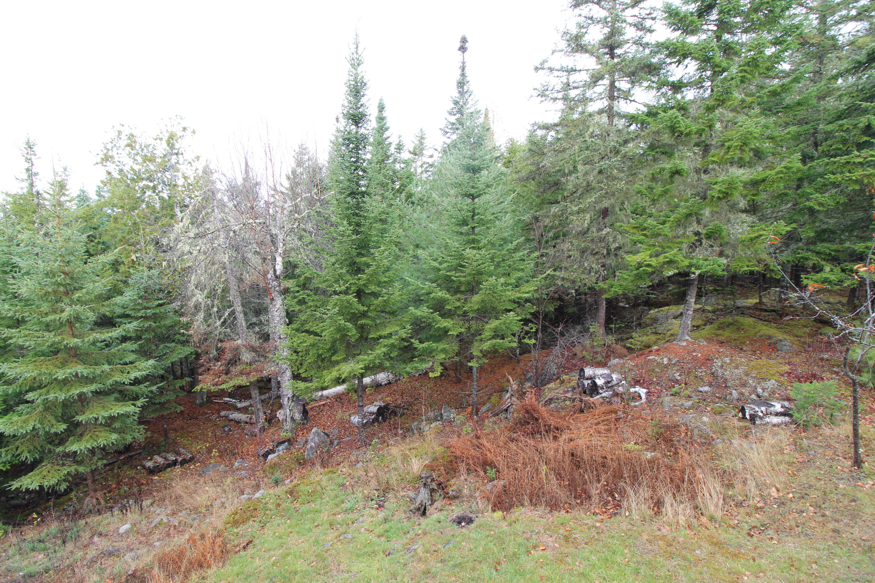 80 Wilsons Mills Road Rangeley ME 04970