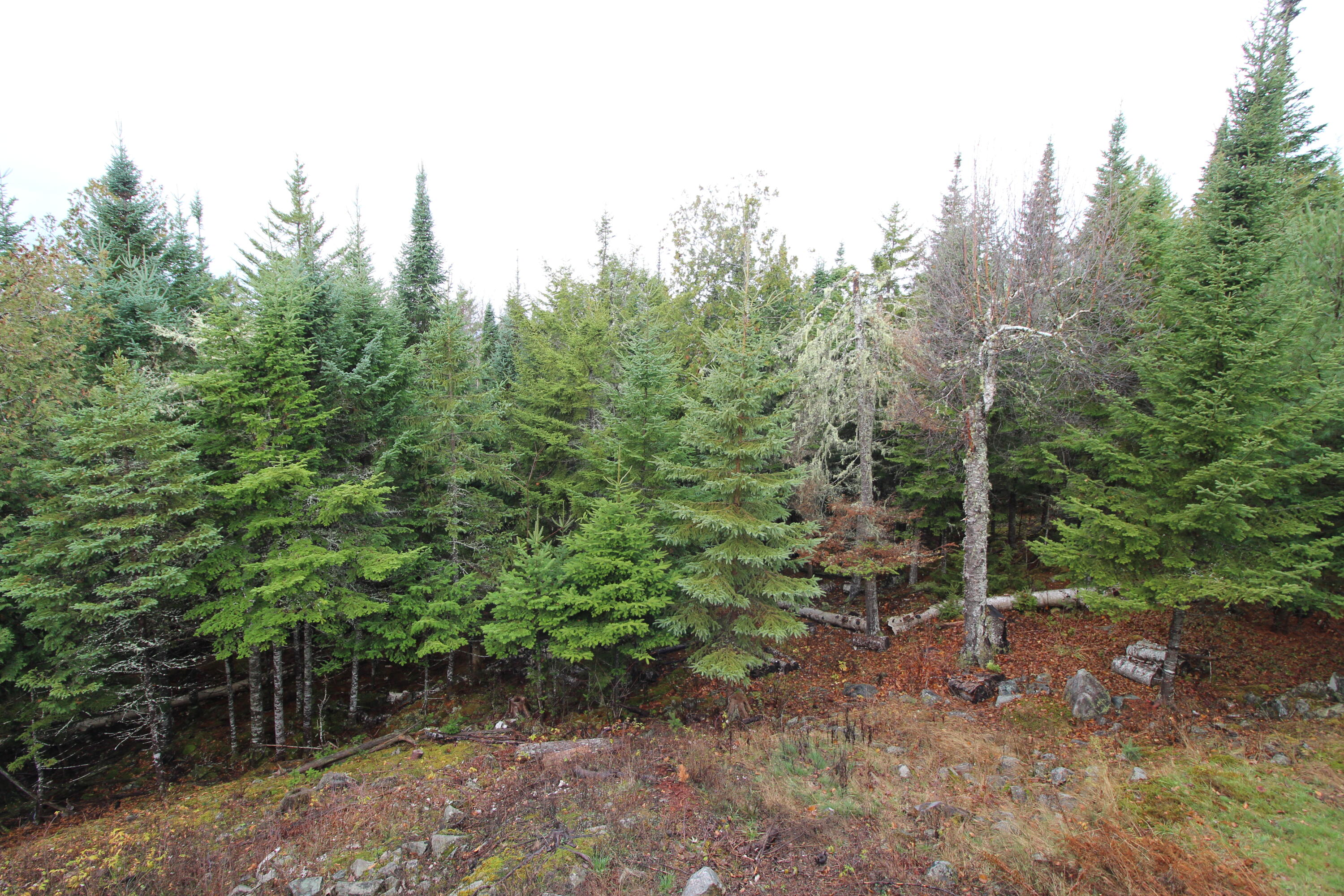 80 Wilsons Mills Road Rangeley ME 04970