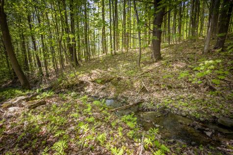 42 Winthrop Street Hallowell ME 04347