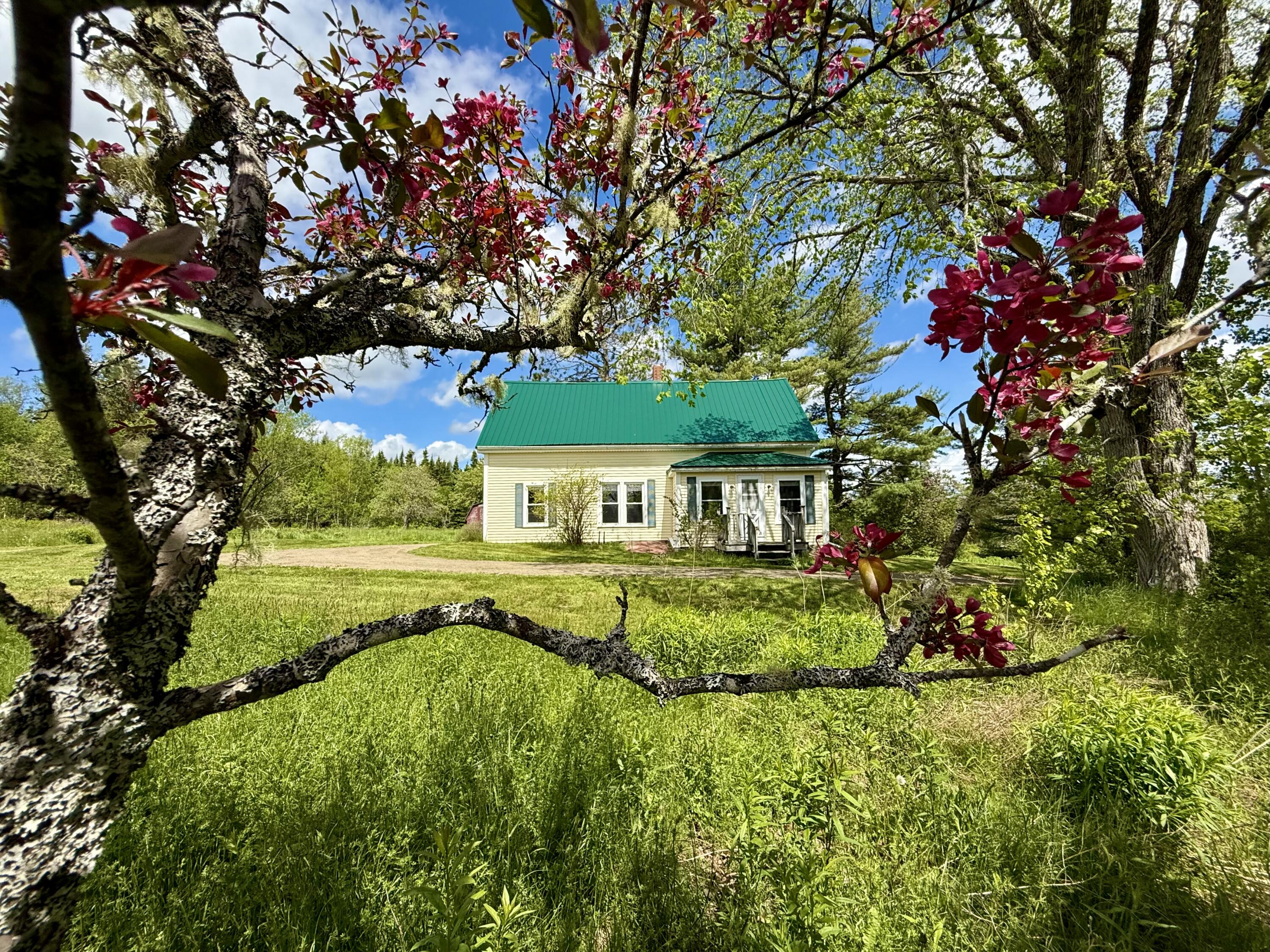 Perry ME, 149 Old Eastport Road