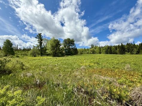 149 Old Eastport Road Perry ME 04667