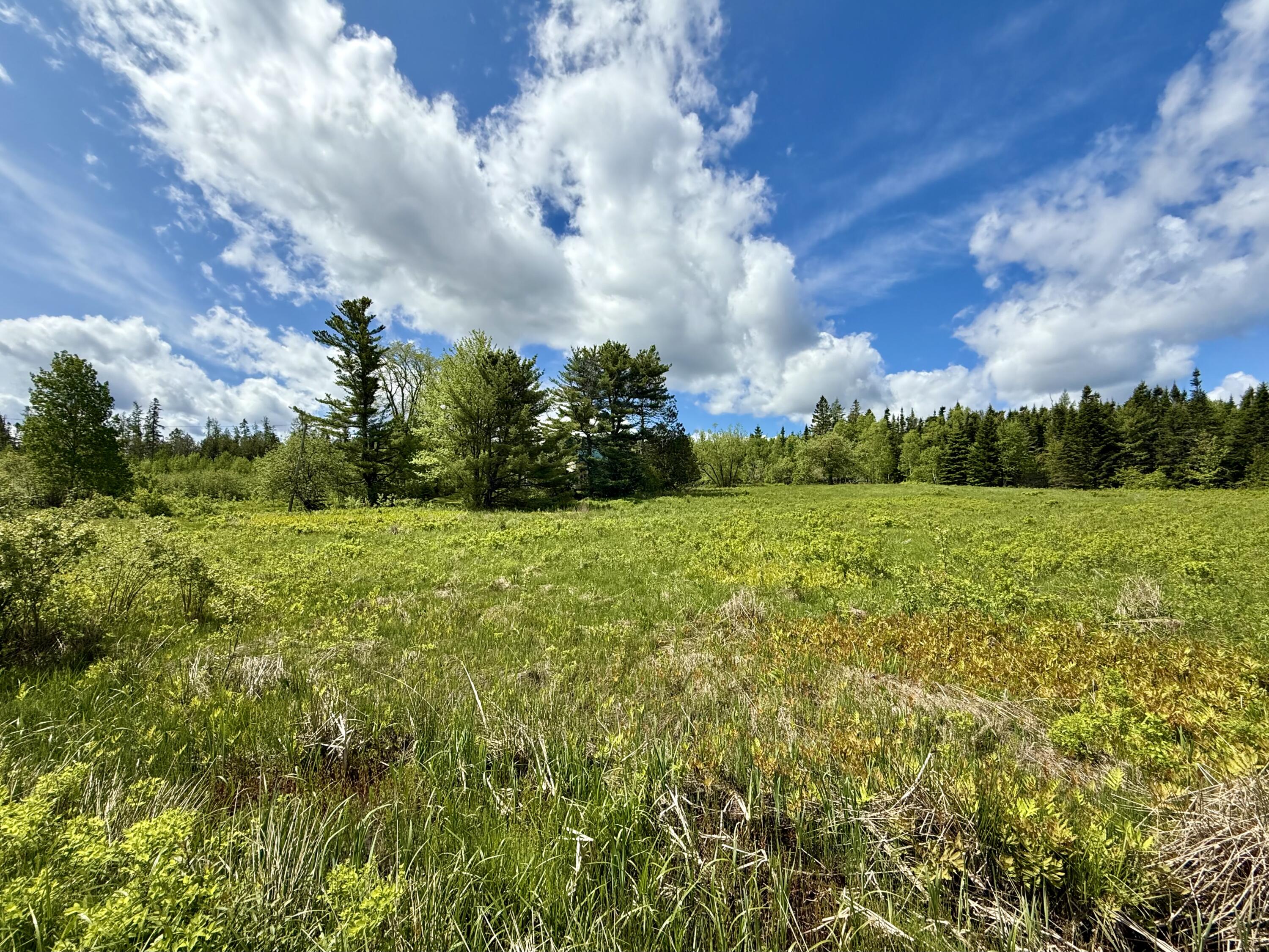 149 Old Eastport Road Perry ME 04667