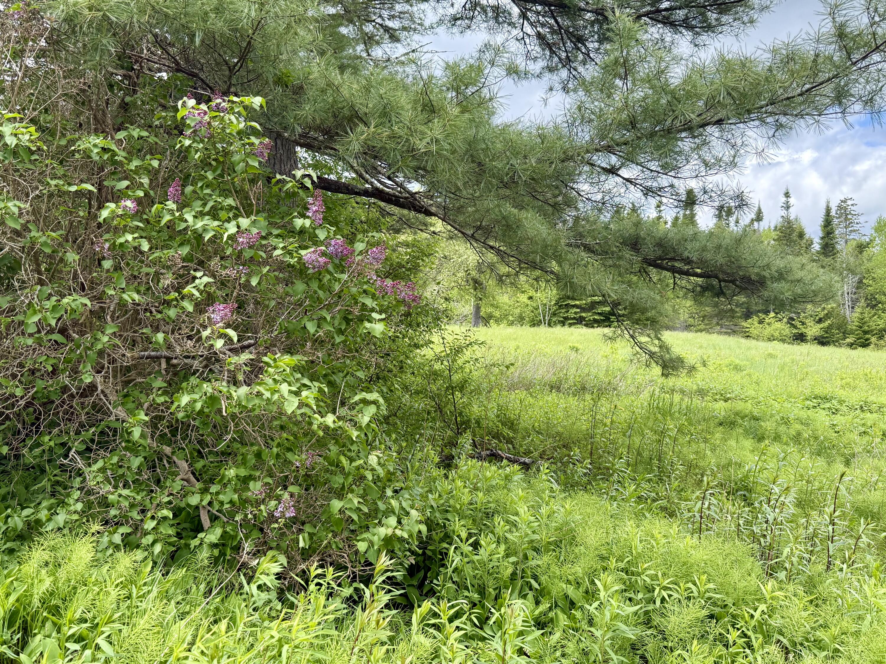 149 Old Eastport Road Perry ME 04667