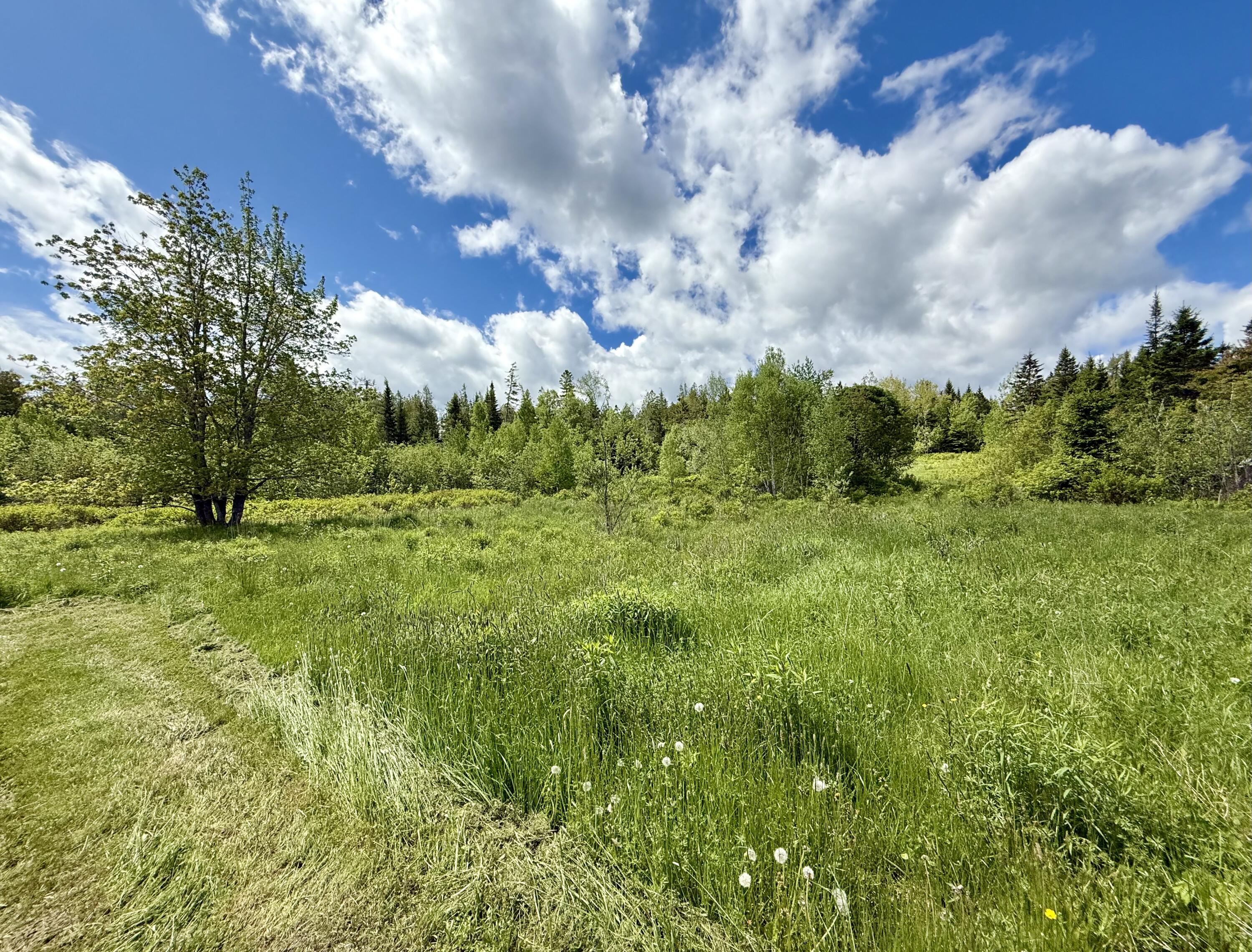 149 Old Eastport Road Perry ME 04667