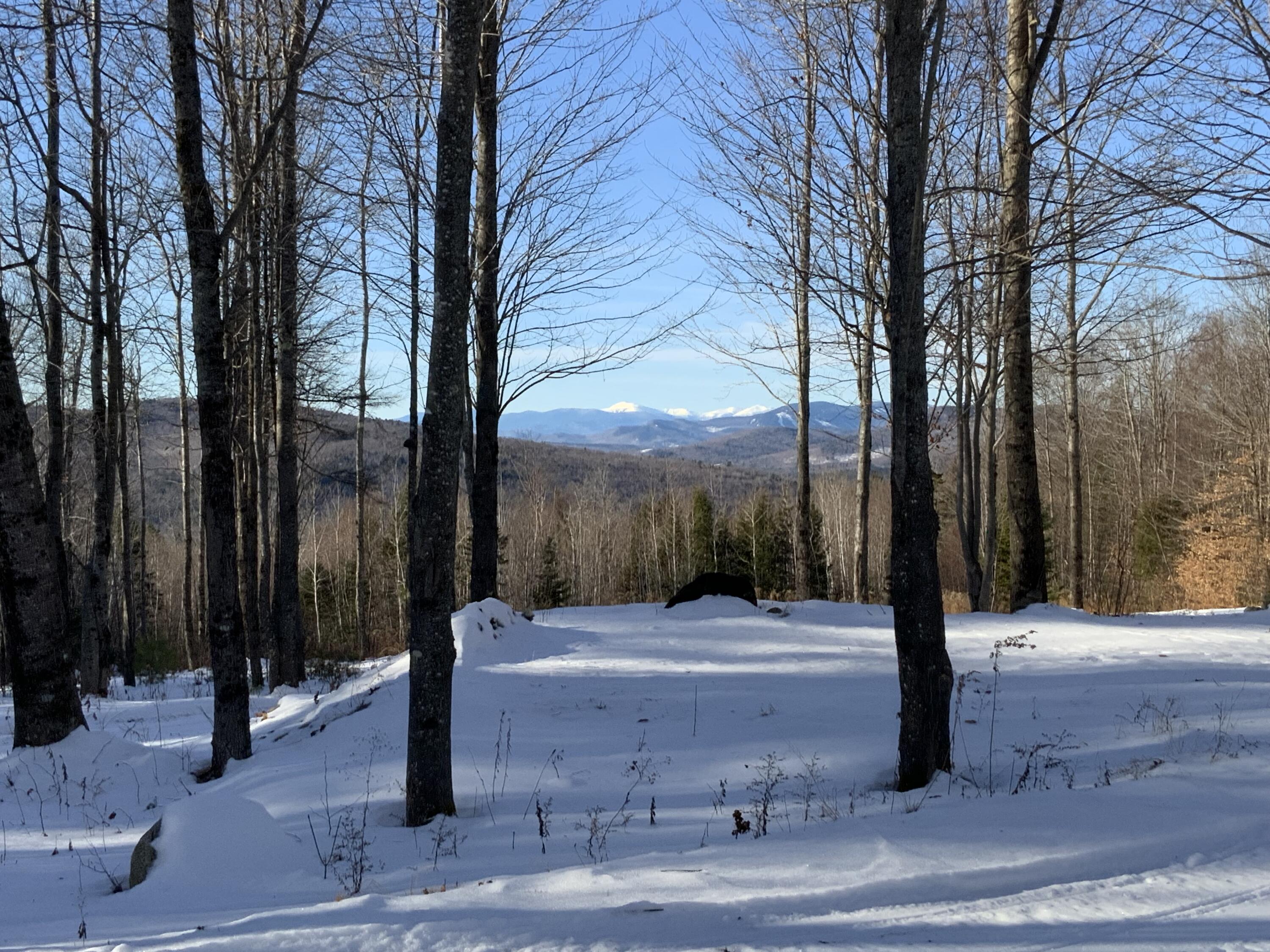 509 Blackberry Lane Rumford ME 04276