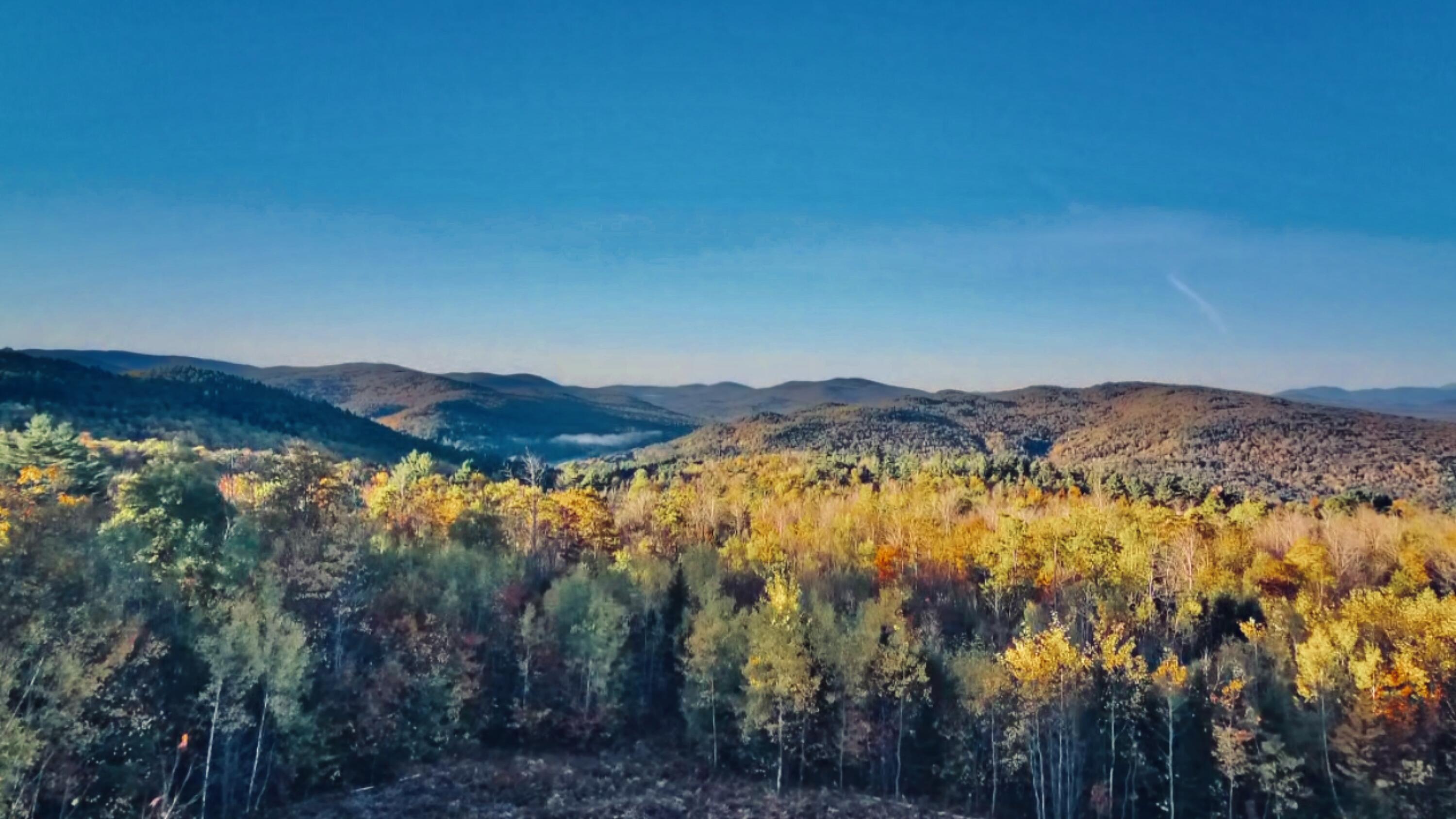 509 Blackberry Lane Rumford ME 04276