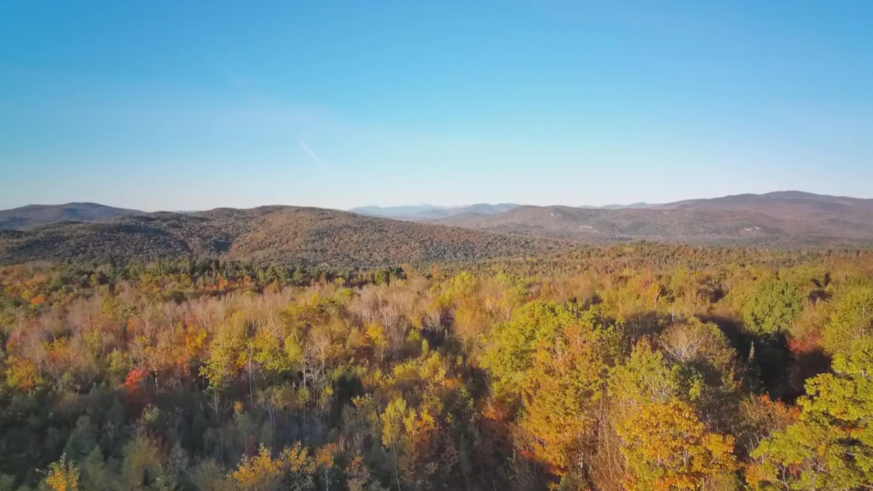 509 Blackberry Lane Rumford ME 04276