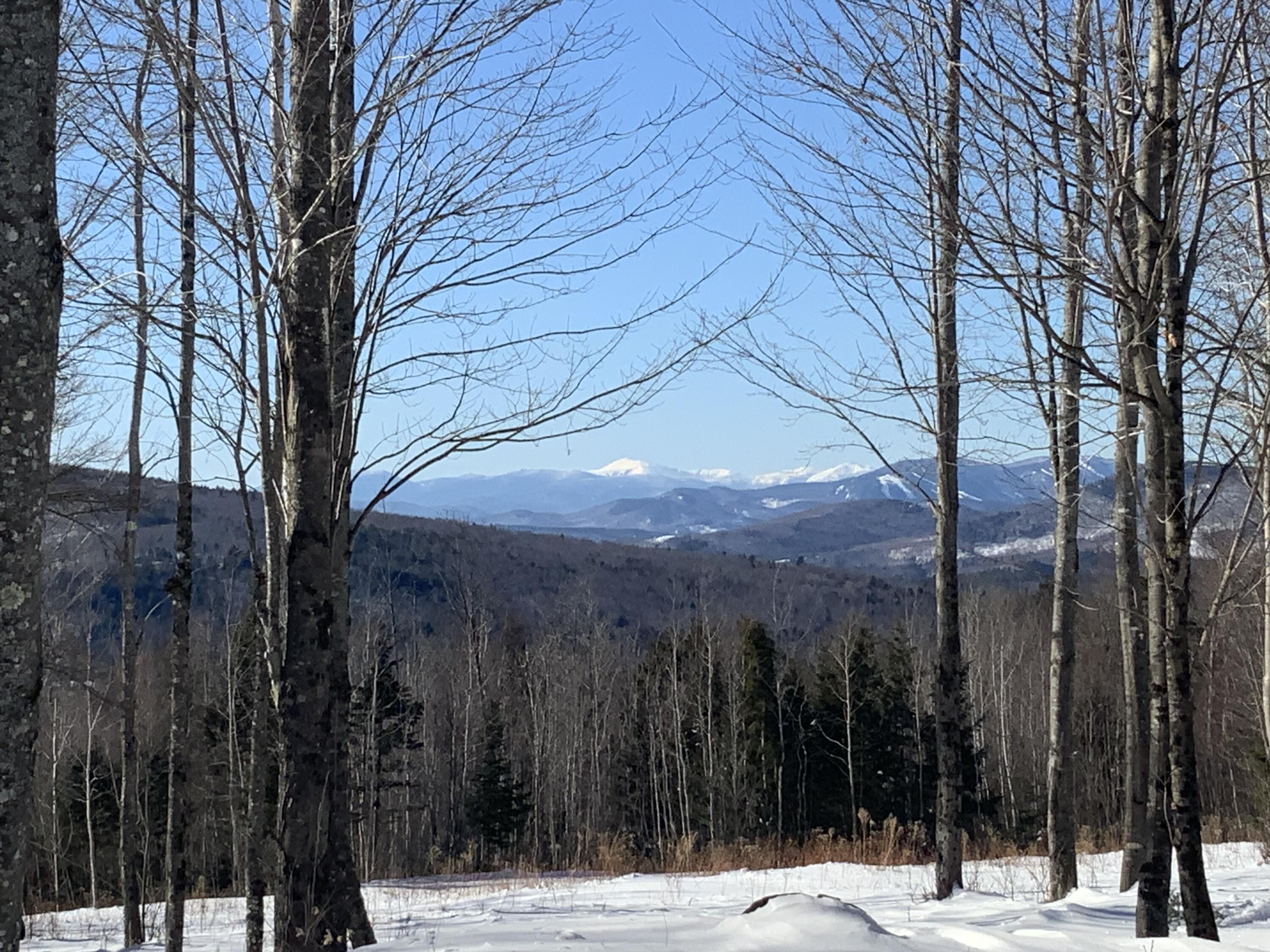 509 Blackberry Lane Rumford ME 04276