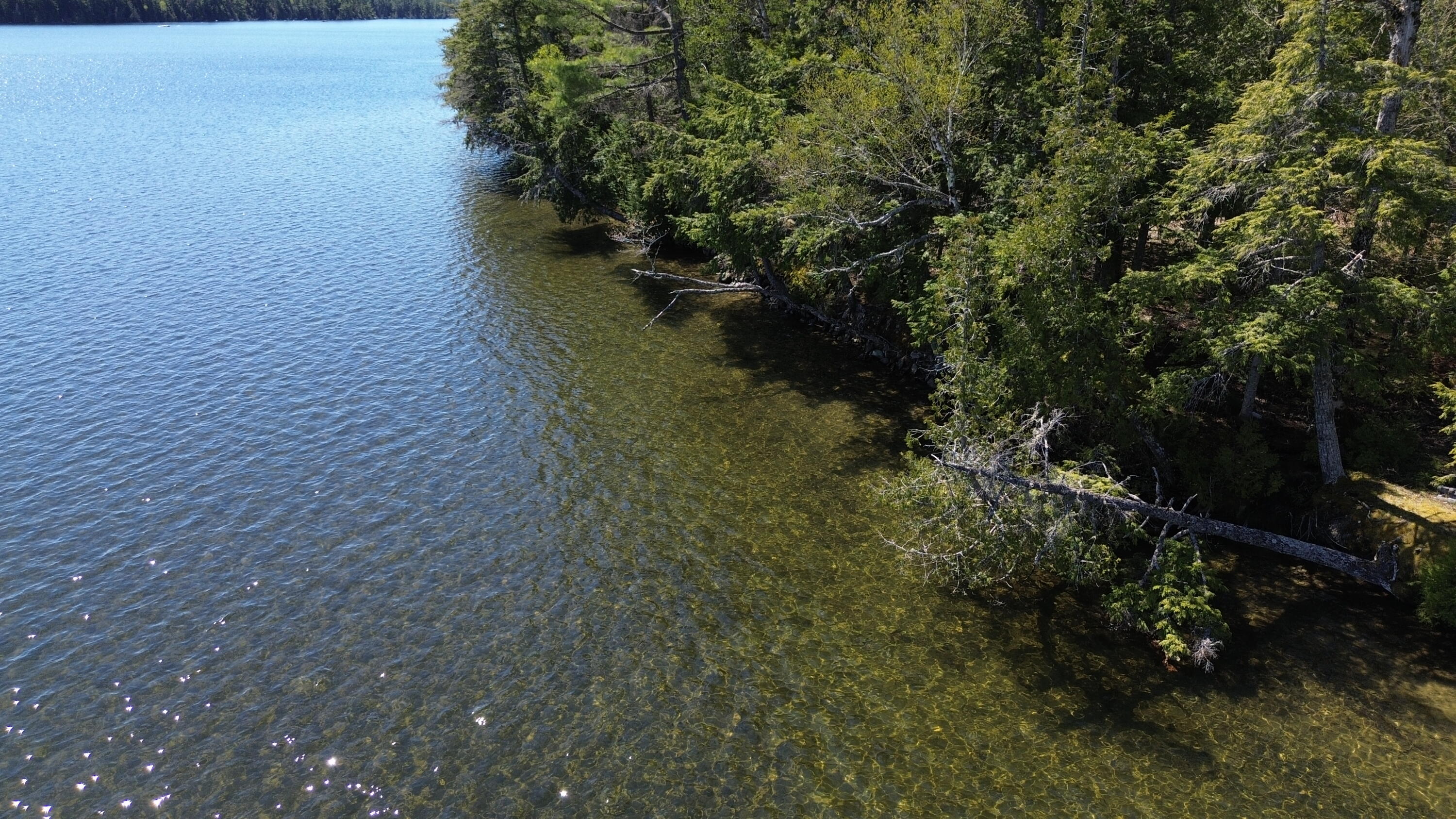 81 Randall Drive Weston ME 04424