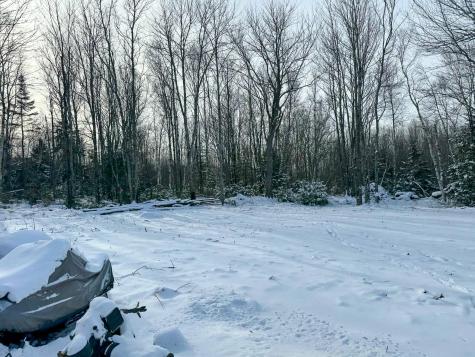 95 Conant Road Meddybemps ME 04655