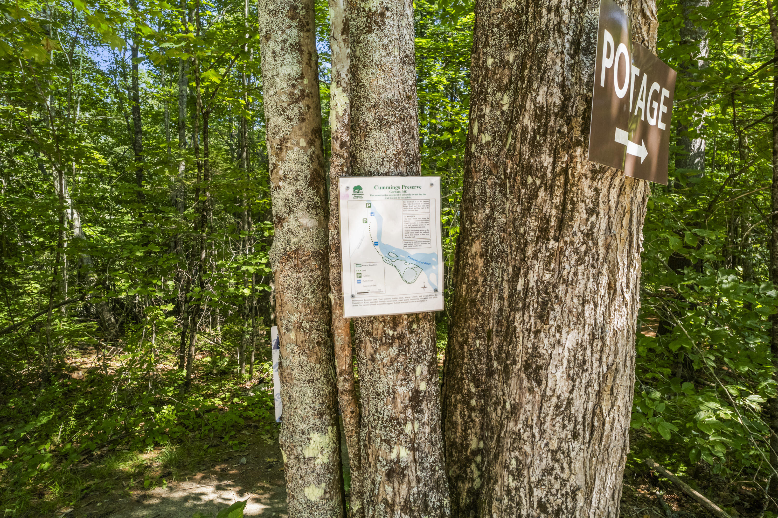 19 Dundee Road Gorham ME 04038