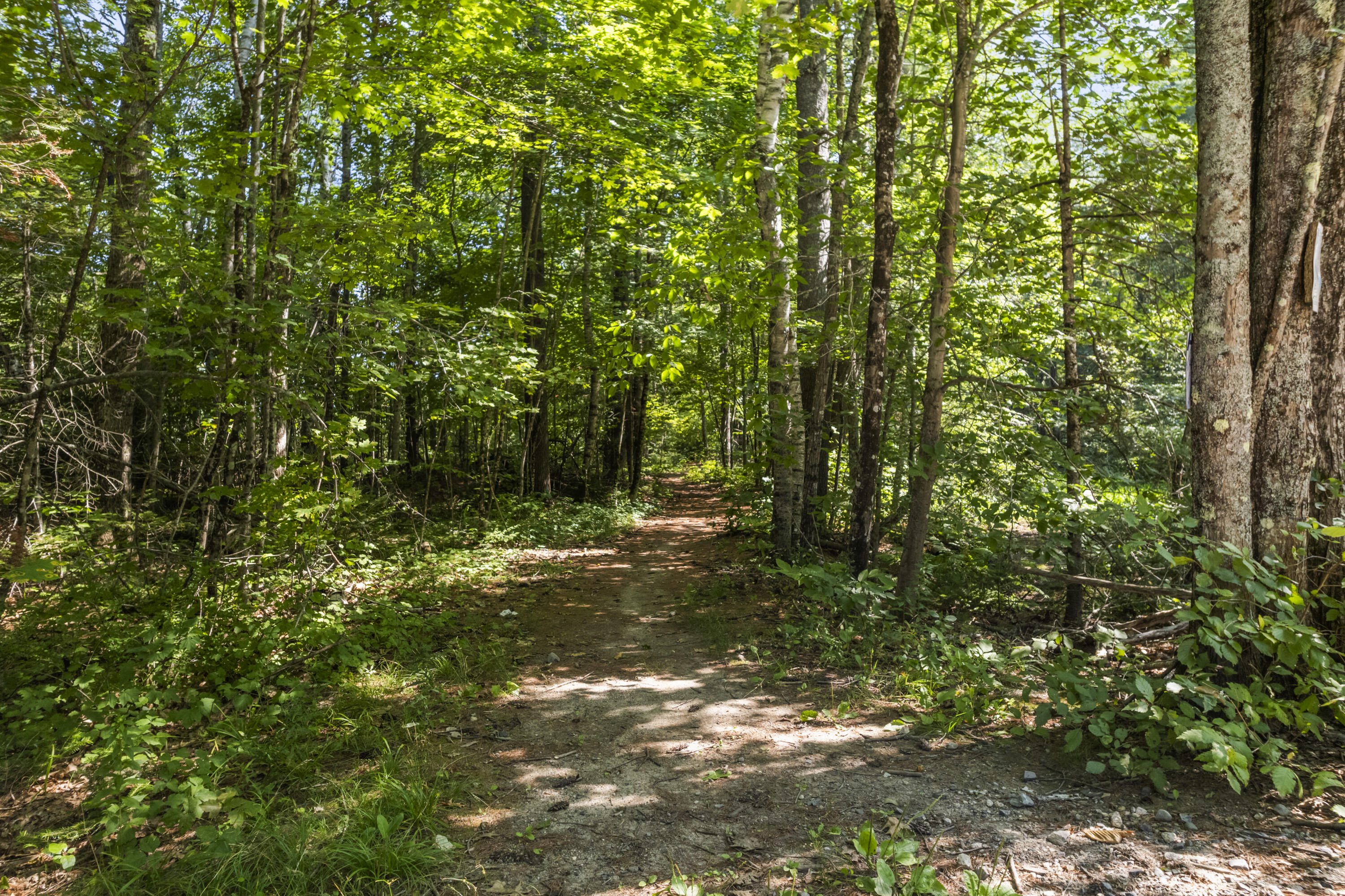 19 Dundee Road Gorham ME 04038